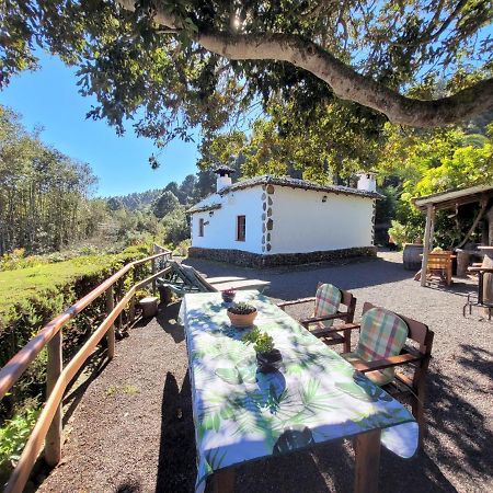 Finca Llano De La Cebolla Icod De Los Vinos Buitenkant foto