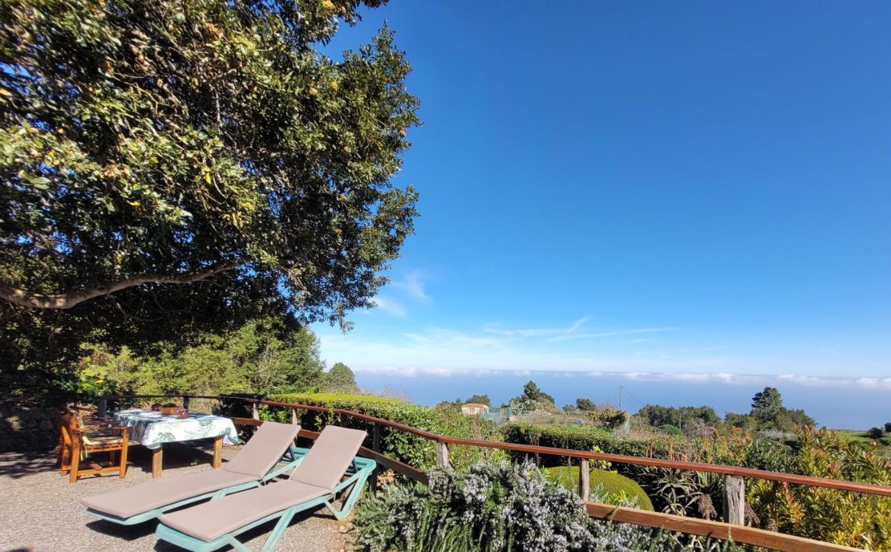 Finca Llano De La Cebolla Icod De Los Vinos Buitenkant foto
