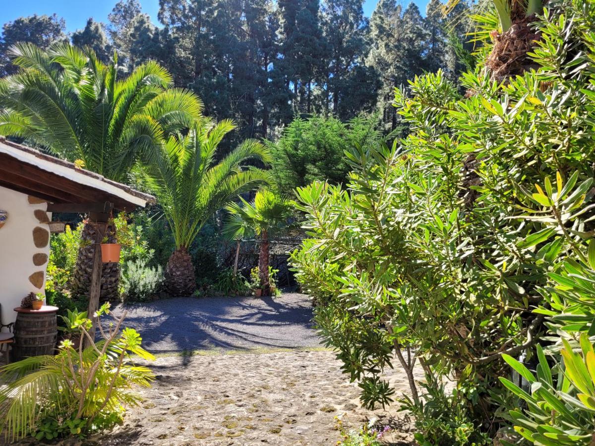 Finca Llano De La Cebolla Icod De Los Vinos Buitenkant foto