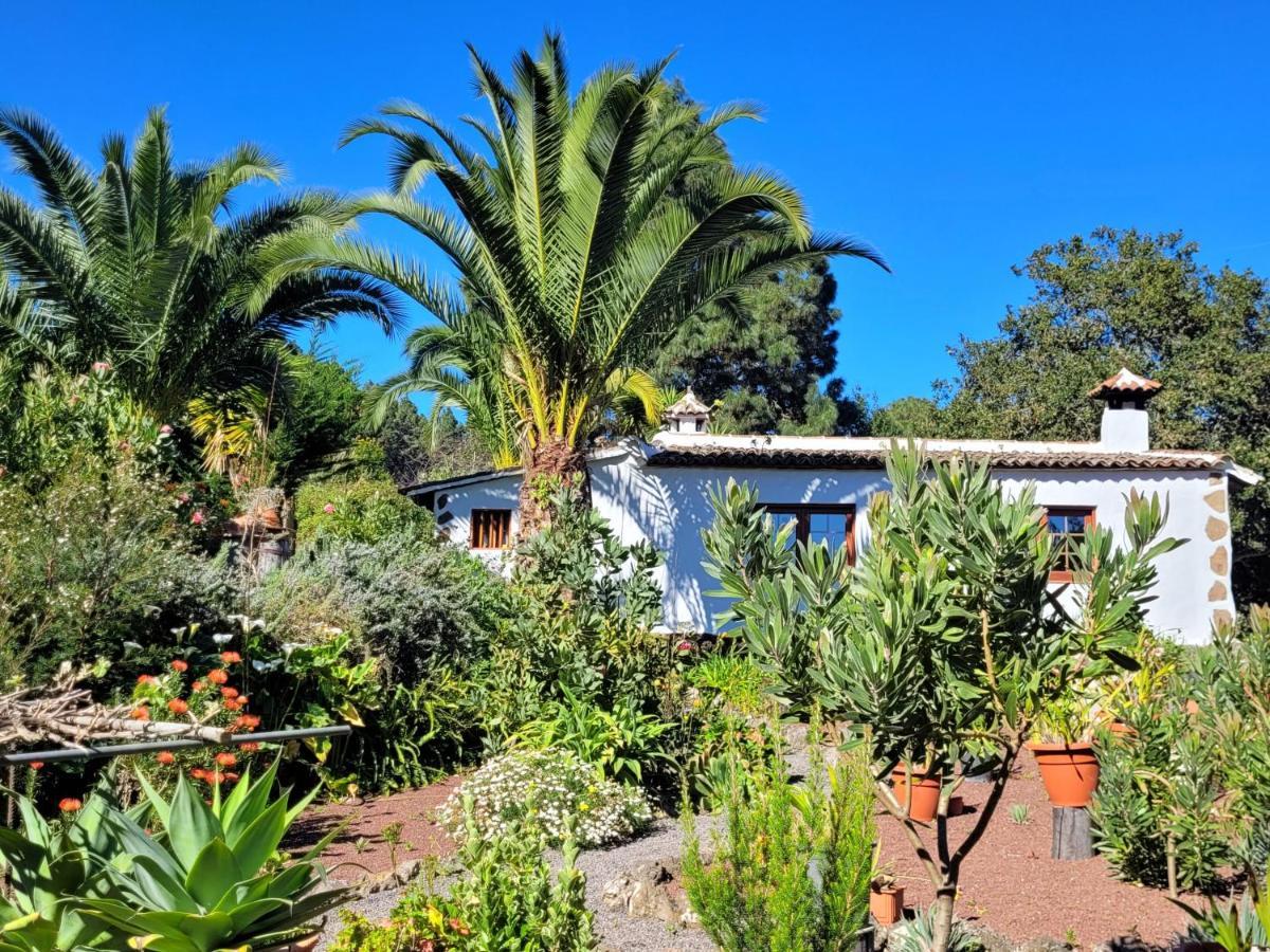Finca Llano De La Cebolla Icod De Los Vinos Buitenkant foto