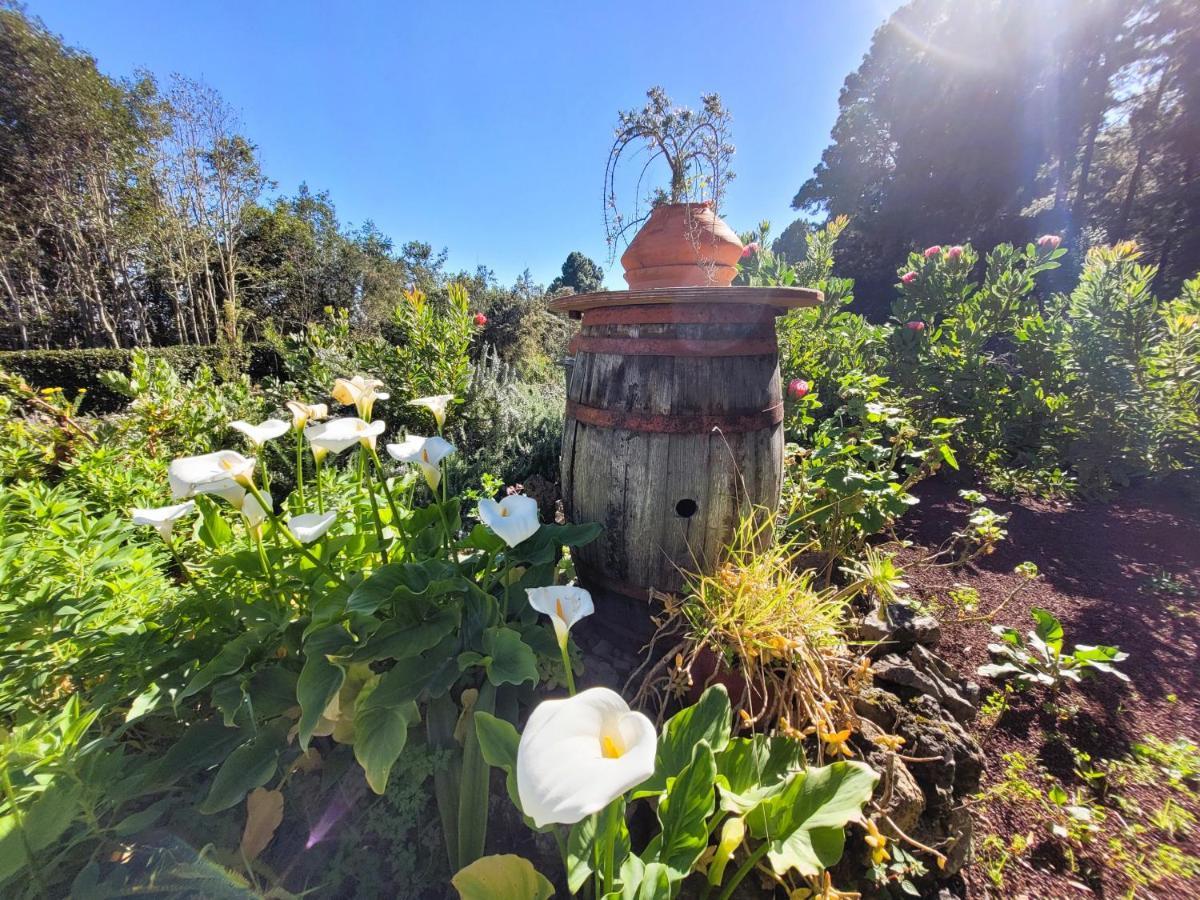 Finca Llano De La Cebolla Icod De Los Vinos Buitenkant foto