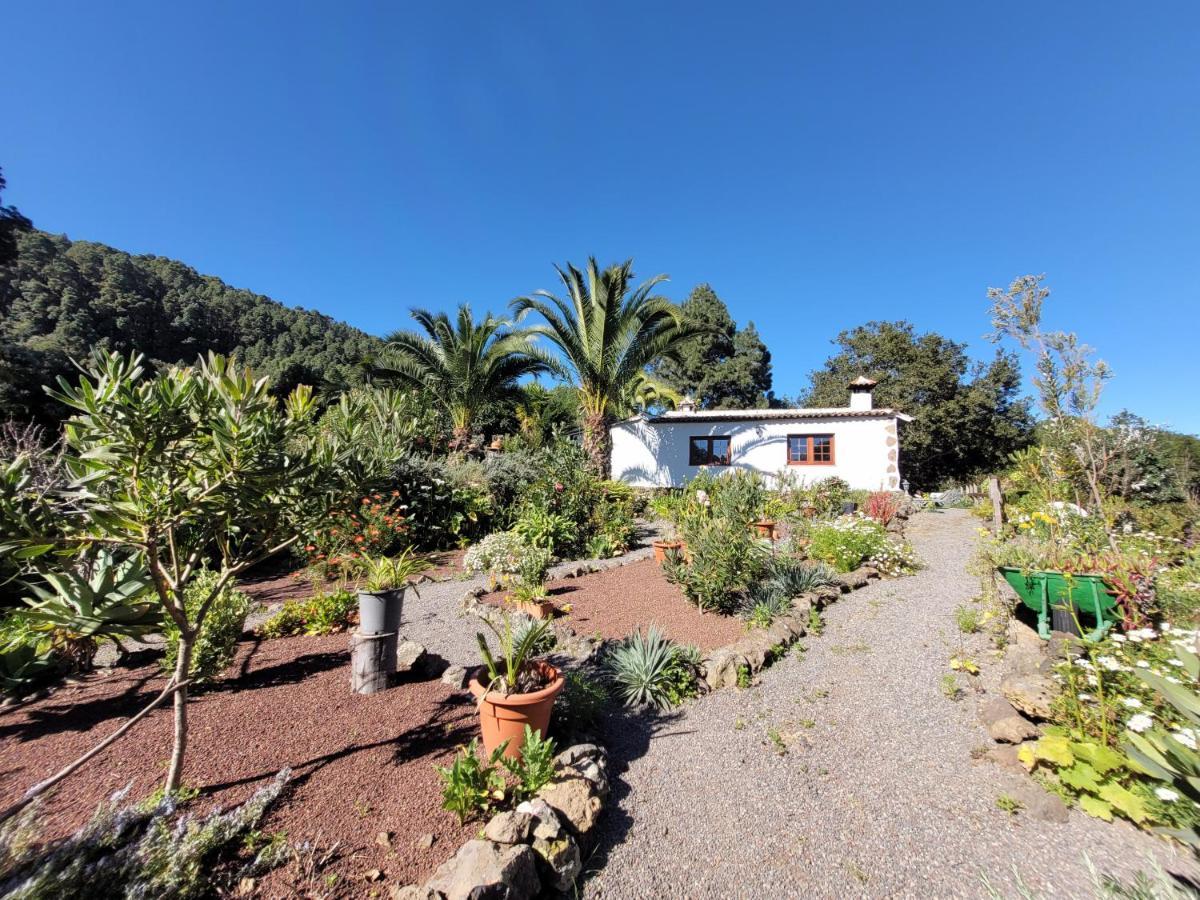 Finca Llano De La Cebolla Icod De Los Vinos Buitenkant foto