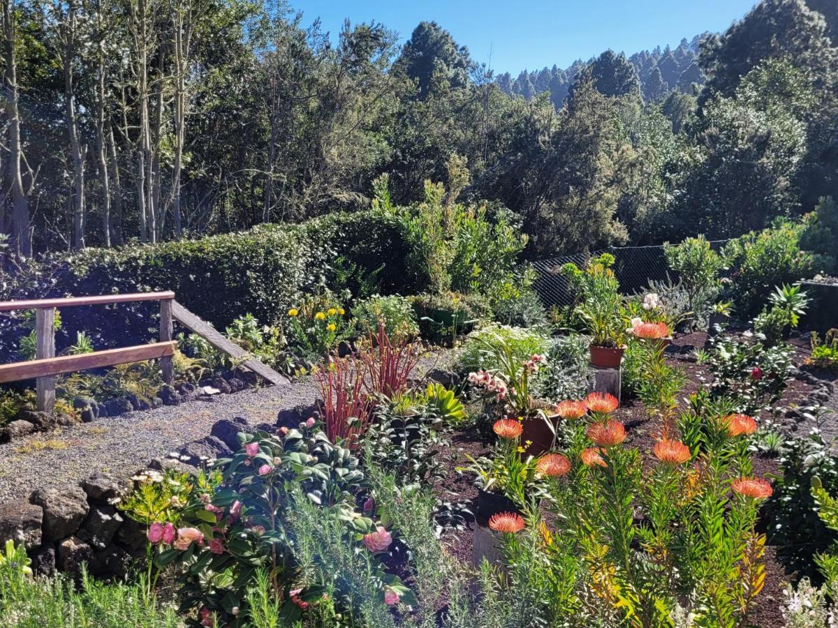 Finca Llano De La Cebolla Icod De Los Vinos Buitenkant foto