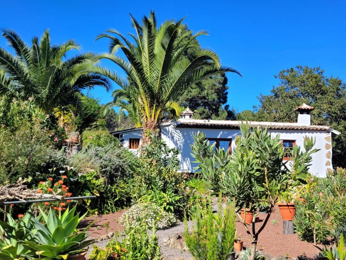 Finca Llano De La Cebolla Icod De Los Vinos Buitenkant foto