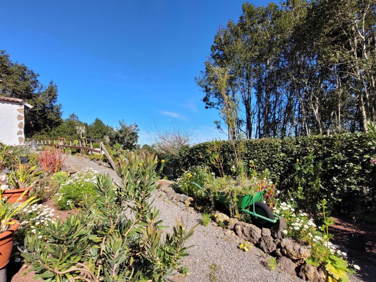 Finca Llano De La Cebolla Icod De Los Vinos Buitenkant foto