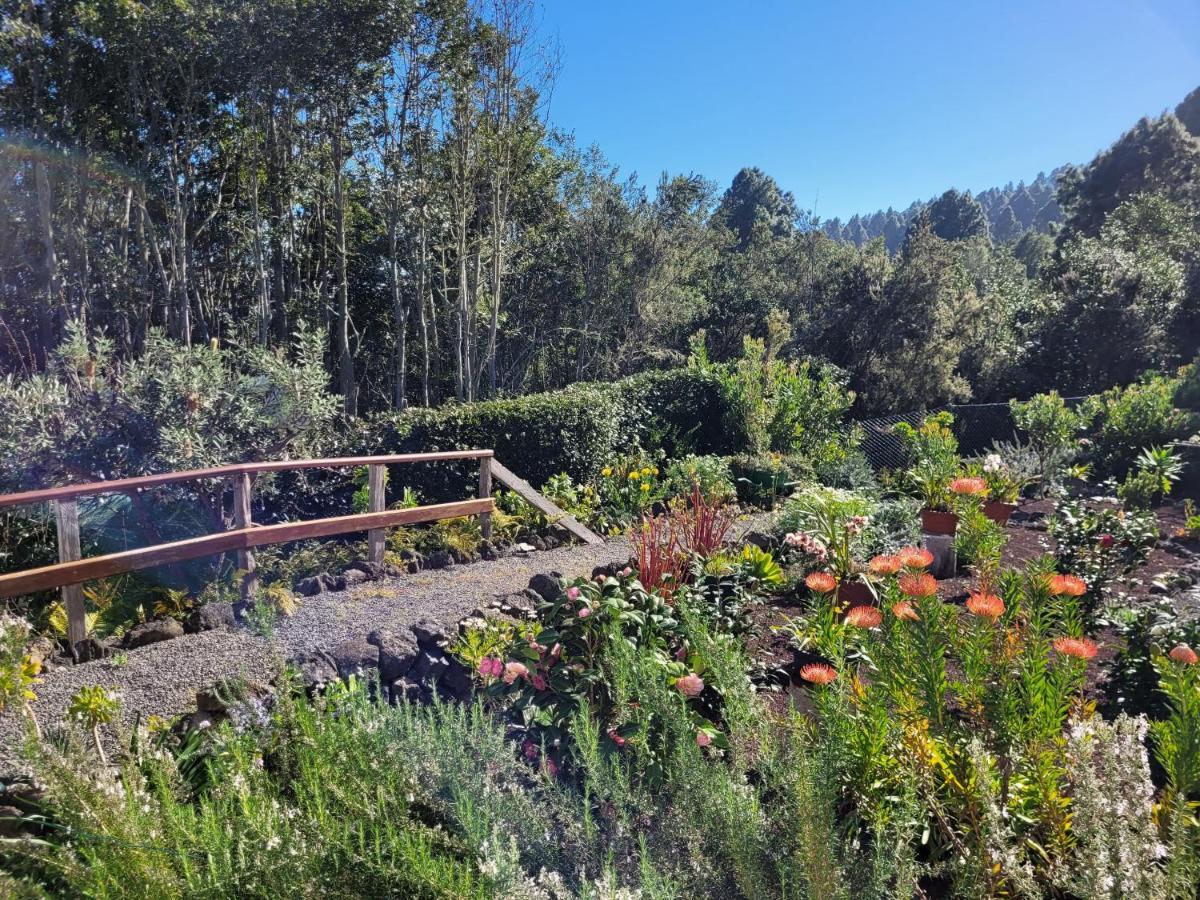 Finca Llano De La Cebolla Icod De Los Vinos Buitenkant foto