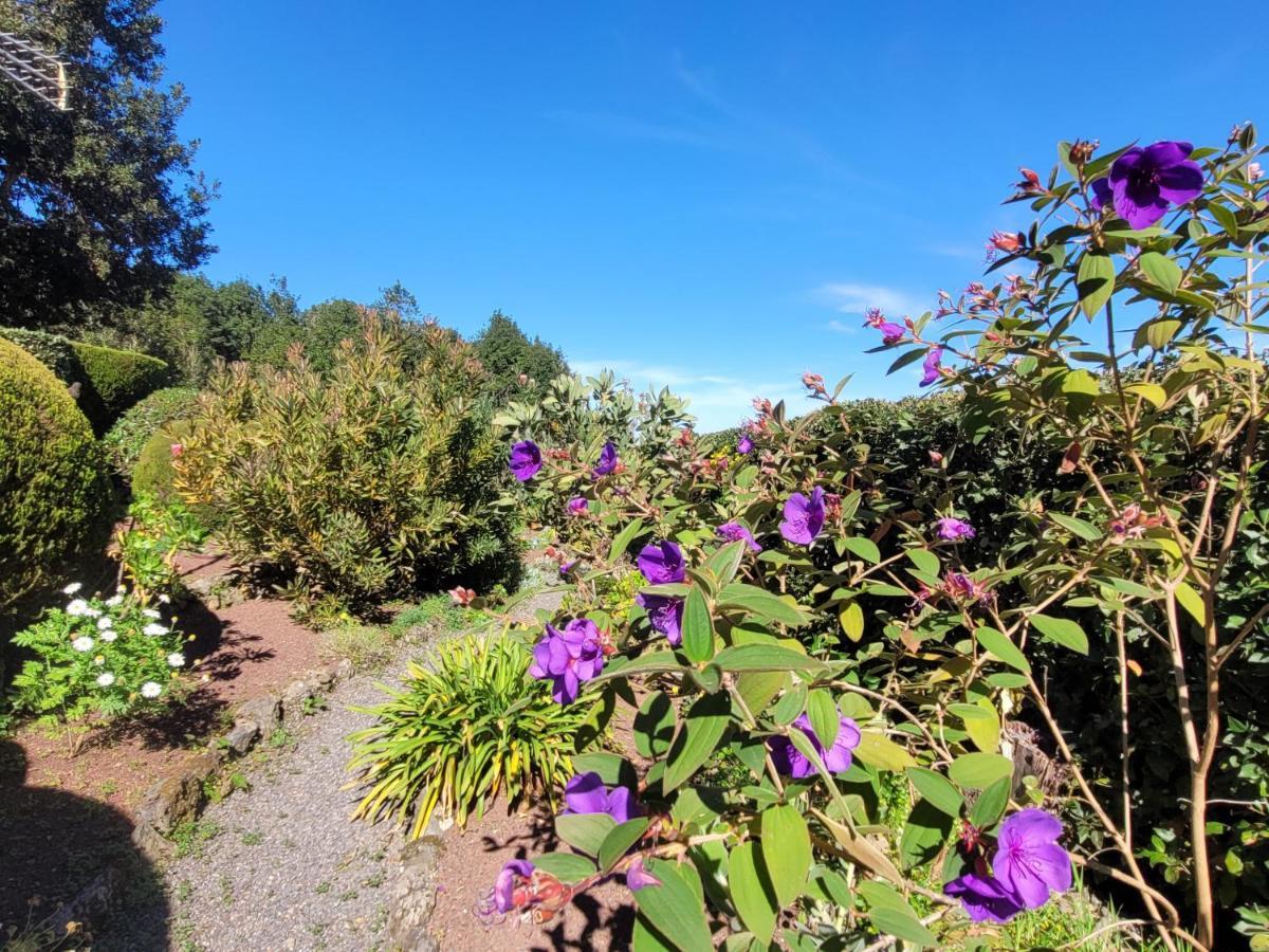 Finca Llano De La Cebolla Icod De Los Vinos Buitenkant foto