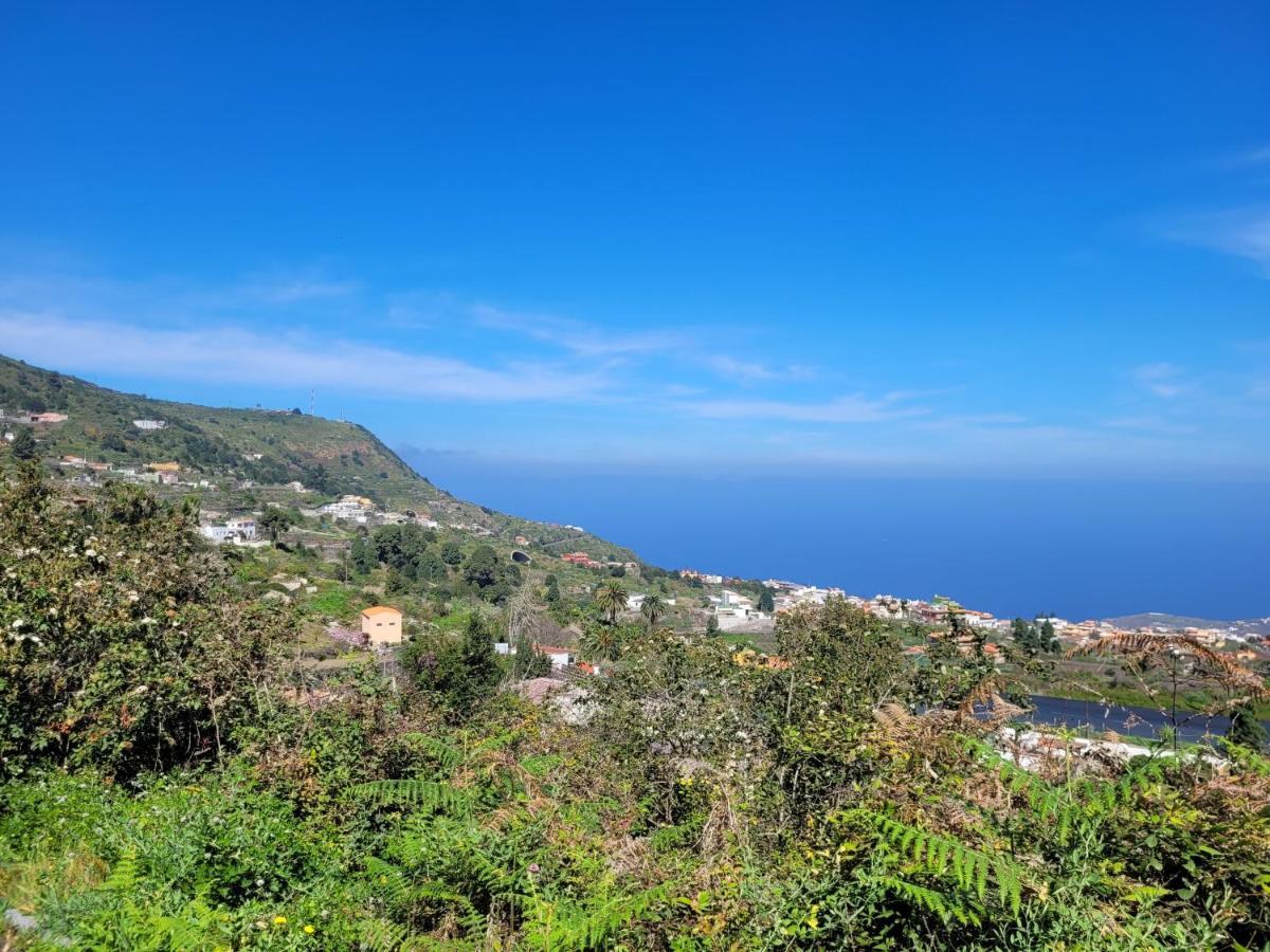 Finca Llano De La Cebolla Icod De Los Vinos Buitenkant foto