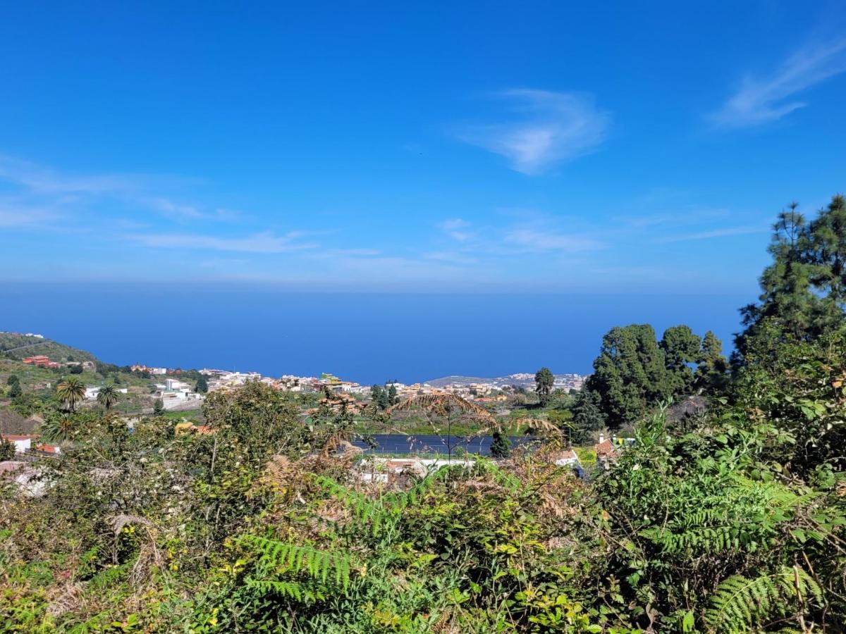 Finca Llano De La Cebolla Icod De Los Vinos Buitenkant foto